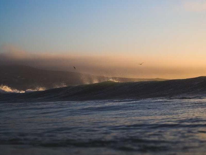 A close-up of a skull with dramatic lighting.